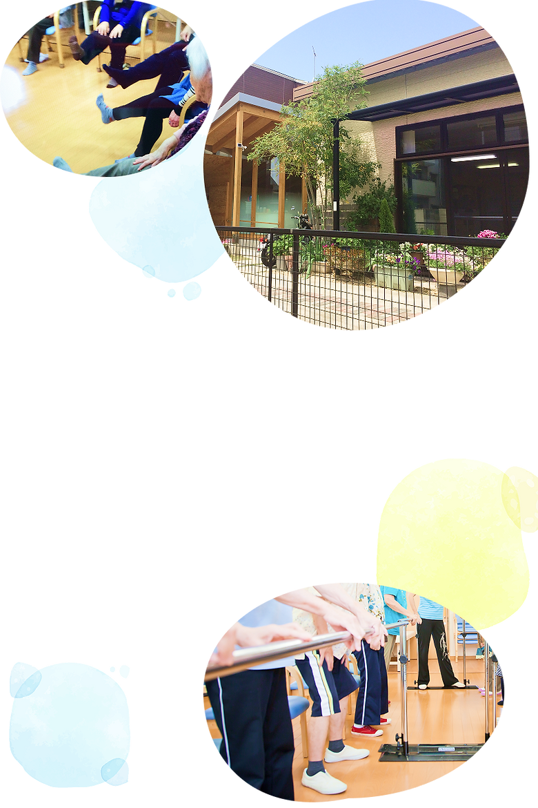 mv-sp01.png
